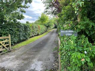 Ballycorrigan Lodge Luxury house for up to 12 guests - Ballina - 9