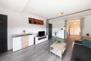Apartmán Rožnov České Budějovice - České Budějovice - 9
