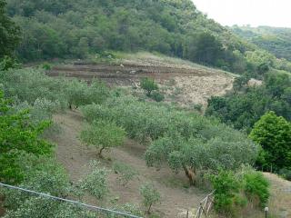 Agriturismo Al Poggetto - Piana degli Albanesi - 8