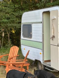 Caravane vintage à la ferme - Ponchapt - 3