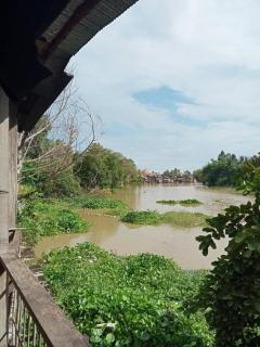 Battambang Family Riverside Homestay - - 1