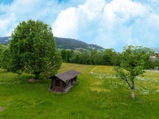 Apartment in Tyrol near Stubai Glacier, cleaning included - - 3