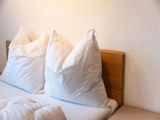 Apartment in Tyrol near Stubai Glacier, cleaning included - - 1