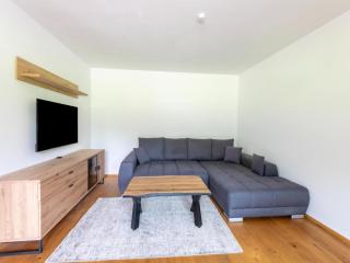 Apartment in Tyrol near Ski Slopes - - 1
