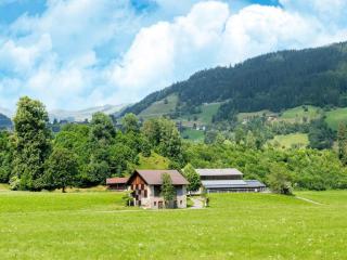 Apartment in Tyrol near Ski Slopes, cleaning included - - 1