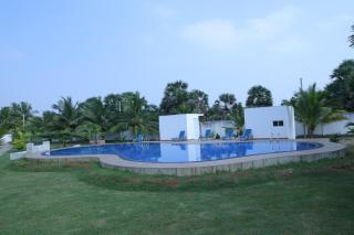 Palmyra Resort Jaffna - - 7