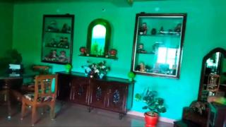 Green Tree Villa - 2