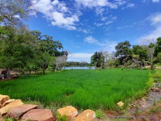 Unawa Retreat - Tissamaharama - 2