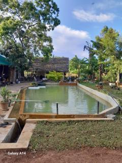 Unawa Retreat - Tissamaharama - 1