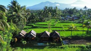 Vanilla Garden - Tetebatu - 2