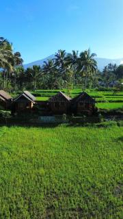 Vanilla Garden - Tetebatu - 3