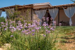 Agriturismo Giusti - Magliano in Toscana - 1