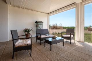 Agriturismo Giusti - Magliano in Toscana - 4