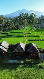 Vanilla Garden - Tetebatu - 5