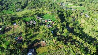 Vanilla Garden - Tetebatu - 7