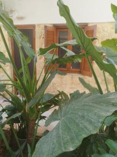 Villa Katerina - Chania - 6