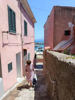 Paguro, piccolo centrale e tranquillo - Giglio Porto - 3