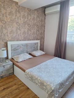 Comfortable Apartment near the City Centre - Yerevan - 8