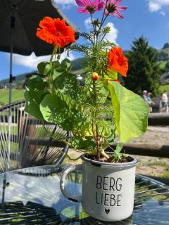 Boutique Apartment BERGLIEBE mit Joker Card - Saalbach-Hinterglemm - 9