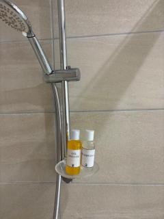 Charmant T4 avec jardin, proche jardin des plantes - 3