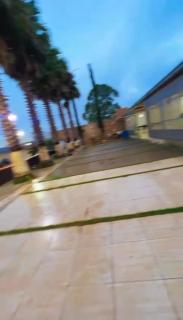 Sitiomogidascruzes - Suzano - 1