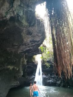 Vanilla Garden - Tetebatu - 9