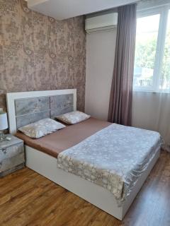 Comfortable Apartment near the City Centre - Erevan - 6
