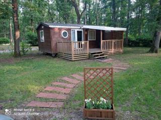 Ile de France, mobil-home cosy au coeur d' une forêt avec piscine - Saint-Chéron - 7