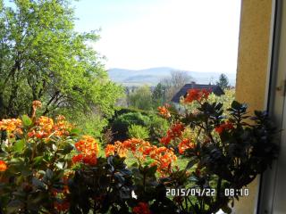 Accommodation close to Budapest - Solymár - 1