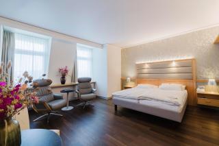 Park-Hotel am Rhein - Gesundheitshotel und Residenzen - Rheinfelden - 8