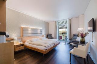 Park-Hotel am Rhein - Gesundheitshotel und Residenzen - Rheinfelden - 4