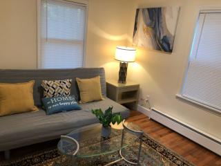 Modern Renovated 2-Bedroom in South Boston - 6