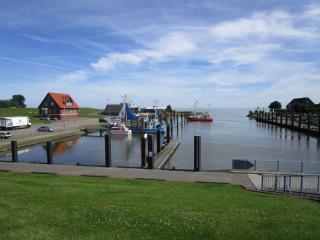 Ferienwohnung Seeadler 30 - 5