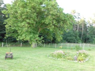 Ferienwohnung am "Amazonas des Nordens" - 7