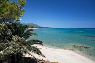 Bas de Villa avec piscine - Linguizzetta - 1