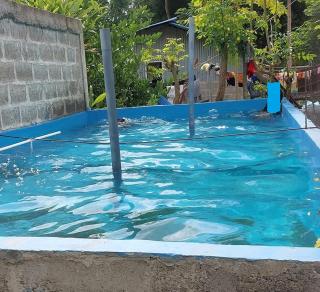 Timorent Villa - Dili - 1