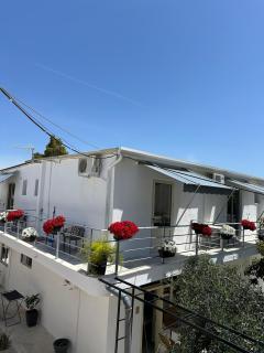 Swan rent rooms - Vlora - 9