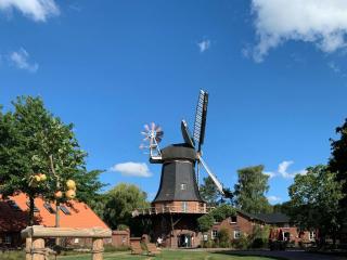 Ferienhaus Meeresrauschen - 9