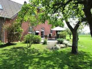 Ferienwohnung Komfort - Niedersachsen-Stadland - 8