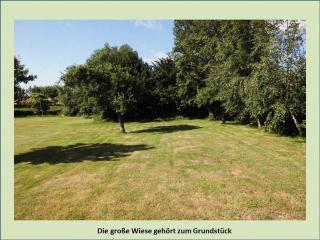 Grüne Idylle - Borrentin - 6