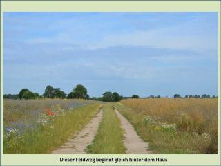 Grüne Idylle - 3
