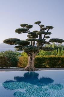 Hiddenbay Teos Sığacık Hotel, Spa and Restaurants - Seferihisar - 7