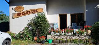 Ognik Pokoje - Lądek-Zdrój - 0