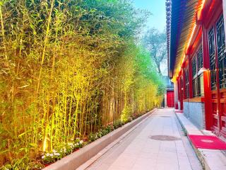Jingshan Garden Courtyard Hotel Beijing Forbidden City Newly renovated Tianmen Wangfujing Gardenhutong BejjingCourtyard - 2