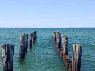 Sonnendeck Zingst - Zingst - 3