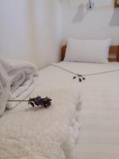 Camping Cremona Turanj Mobile Home Red - 2