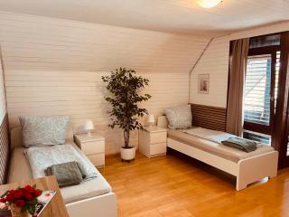 Ferienwohnung in der nähe von Europapark Kehl - 0