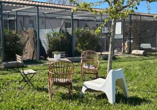 Le mas - Aix-en-Provence - 4