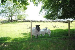 The Barn at Brambles Farm - - 2