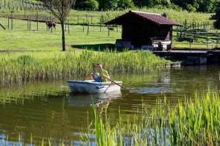 Gaestehaus Zum Wolffenturm - 1